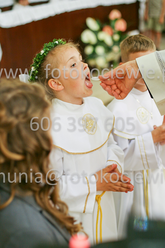 <b>NUMER FOTOGRAFII:<br> 1234_SFK_9848</b>