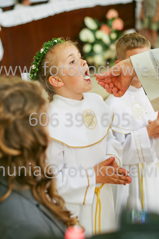 <b>NUMER FOTOGRAFII:<br> 1235_SFK_9849</b>