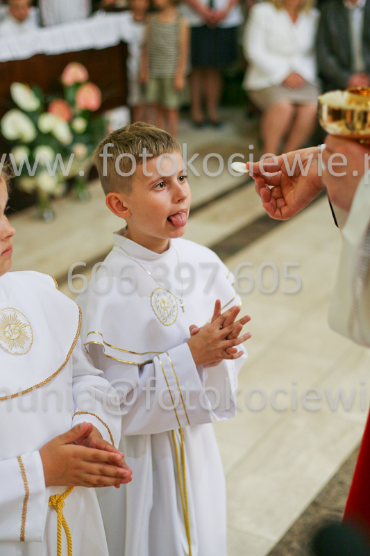 <b>NUMER FOTOGRAFII:<br> 1236_SFK_9850</b>