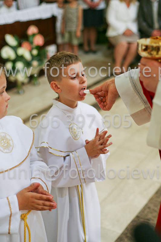 <b>NUMER FOTOGRAFII:<br> 1237_SFK_9851</b>