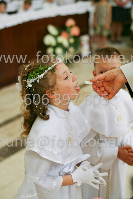 <b>NUMER FOTOGRAFII:<br> 1238_SFK_9852</b>