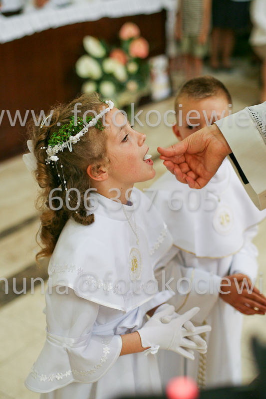 <b>NUMER FOTOGRAFII:<br> 1239_SFK_9853</b>