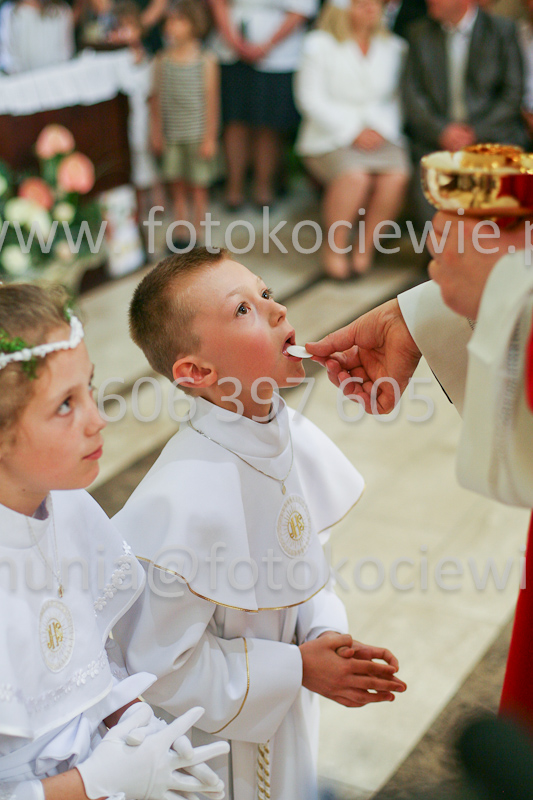 <b>NUMER FOTOGRAFII:<br> 1241_SFK_9855</b>