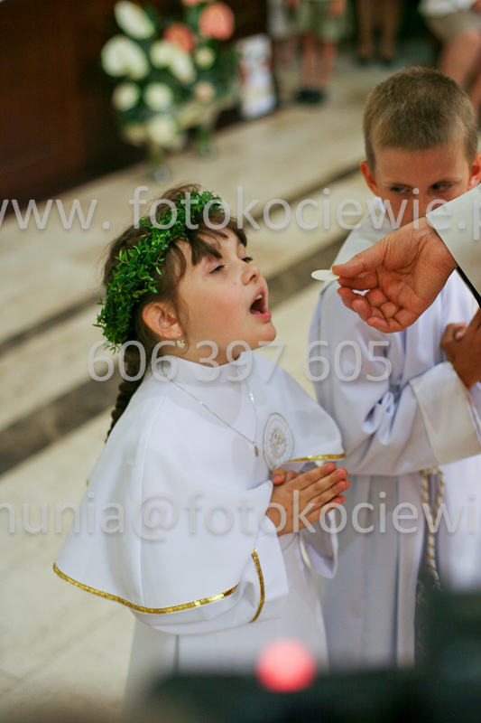<b>NUMER FOTOGRAFII:<br> 1242_SFK_9856</b>