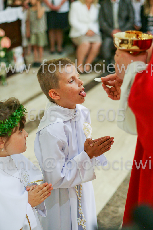 <b>NUMER FOTOGRAFII:<br> 1244_SFK_9858</b>