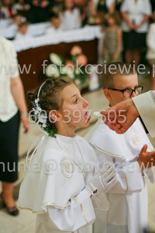 <b>NUMER FOTOGRAFII:<br> 1247_SFK_9861</b>