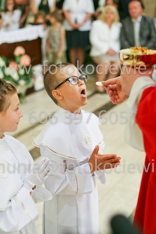 <b>NUMER FOTOGRAFII:<br> 1249_SFK_9863</b>