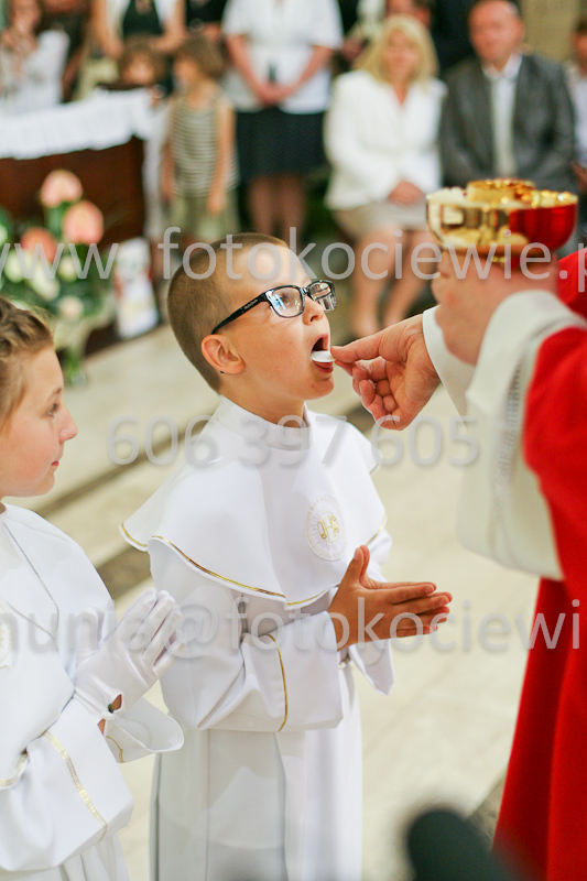 <b>NUMER FOTOGRAFII:<br> 1250_SFK_9864</b>