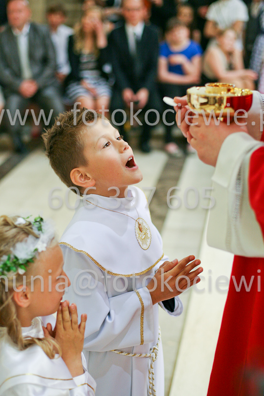 <b>NUMER FOTOGRAFII:<br> 1253_SFK_9867</b>