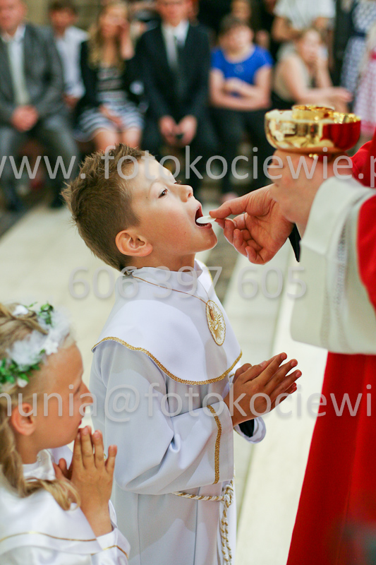 <b>NUMER FOTOGRAFII:<br> 1254_SFK_9868</b>