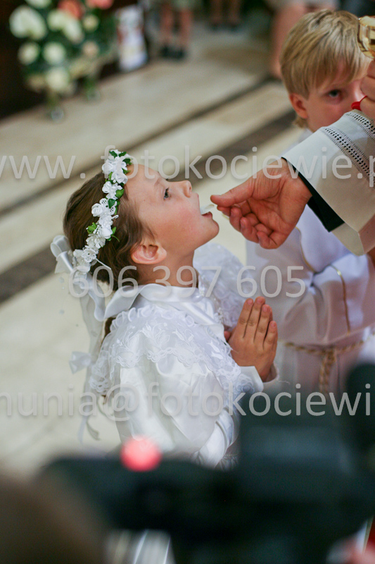 <b>NUMER FOTOGRAFII:<br> 1256_SFK_9870</b>