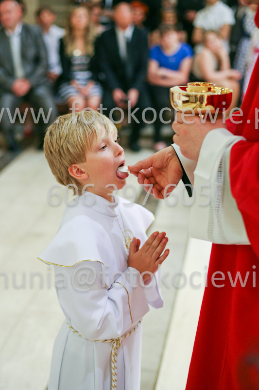 <b>NUMER FOTOGRAFII:<br> 1258_SFK_9872</b>