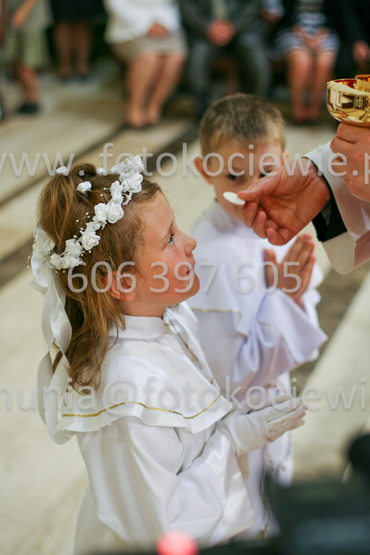 <b>NUMER FOTOGRAFII:<br> 1259_SFK_9873</b>