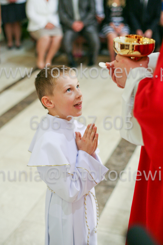 <b>NUMER FOTOGRAFII:<br> 1261_SFK_9875</b>