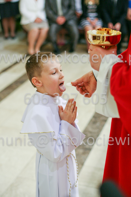 <b>NUMER FOTOGRAFII:<br> 1262_SFK_9876</b>