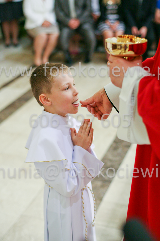 <b>NUMER FOTOGRAFII:<br> 1263_SFK_9877</b>
