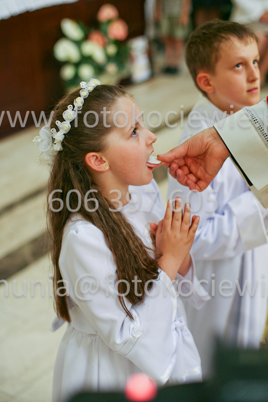<b>NUMER FOTOGRAFII:<br> 1265_SFK_9879</b>