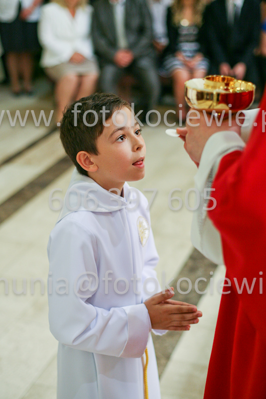 <b>NUMER FOTOGRAFII:<br> 1270_SFK_9884</b>