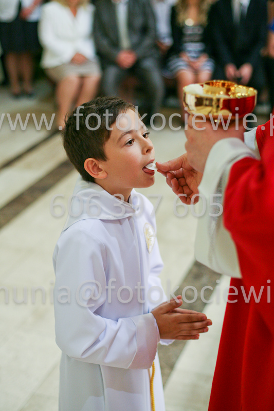 <b>NUMER FOTOGRAFII:<br> 1271_SFK_9885</b>