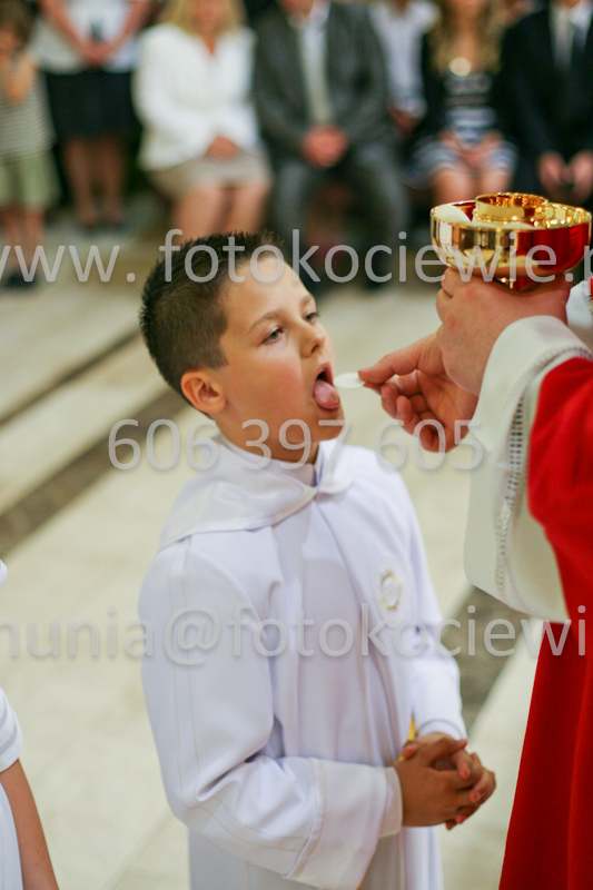 <b>NUMER FOTOGRAFII:<br> 1274_SFK_9888</b>