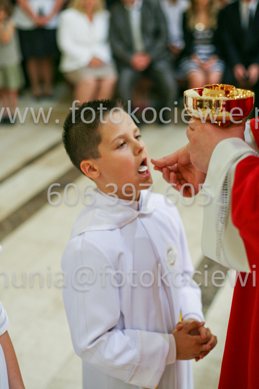 <b>NUMER FOTOGRAFII:<br> 1275_SFK_9889</b>
