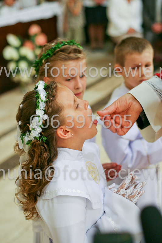 <b>NUMER FOTOGRAFII:<br> 1277_SFK_9891</b>