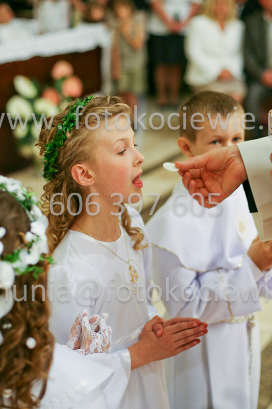 <b>NUMER FOTOGRAFII:<br> 1279_SFK_9893</b>