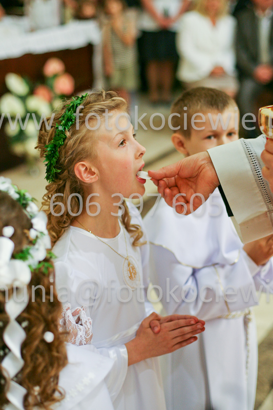 <b>NUMER FOTOGRAFII:<br> 1280_SFK_9894</b>