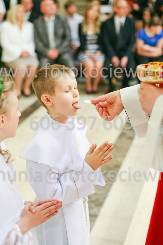 <b>NUMER FOTOGRAFII:<br> 1283_SFK_9897</b>