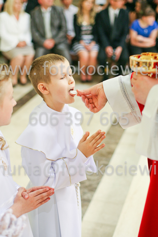 <b>NUMER FOTOGRAFII:<br> 1284_SFK_9898</b>