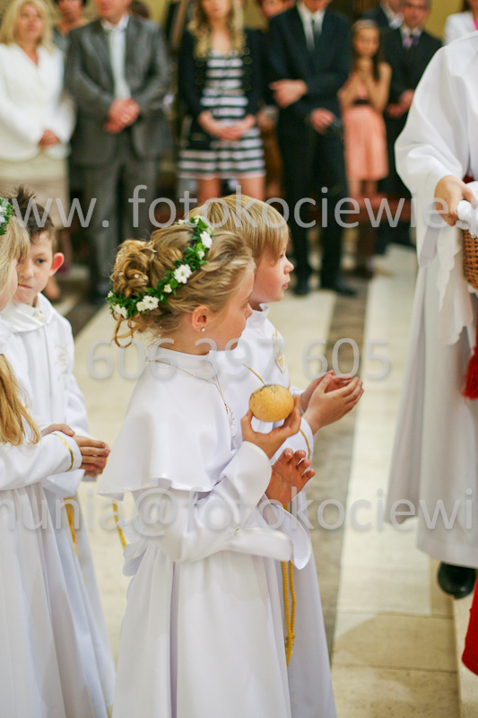 <b>NUMER FOTOGRAFII:<br> 1317_SFK_9903</b>