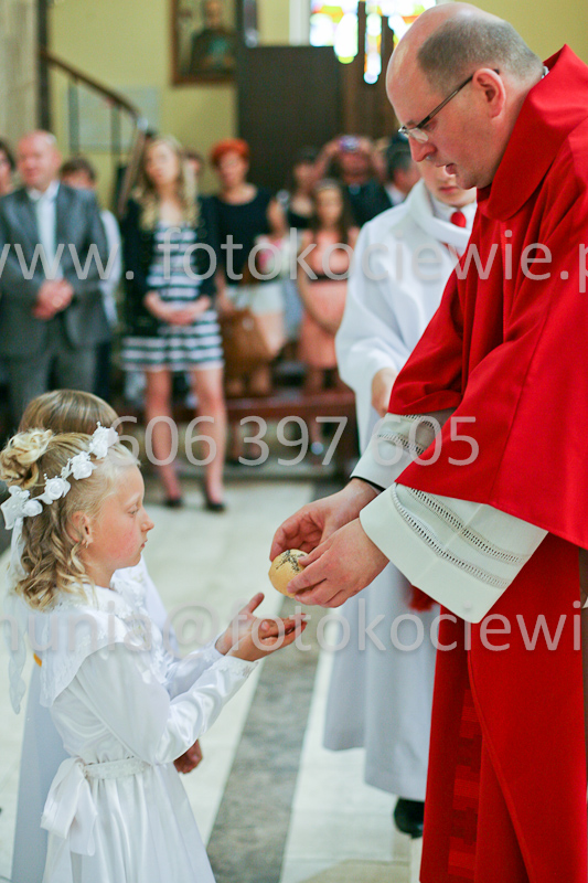 <b>NUMER FOTOGRAFII:<br> 1319_SFK_9907</b>
