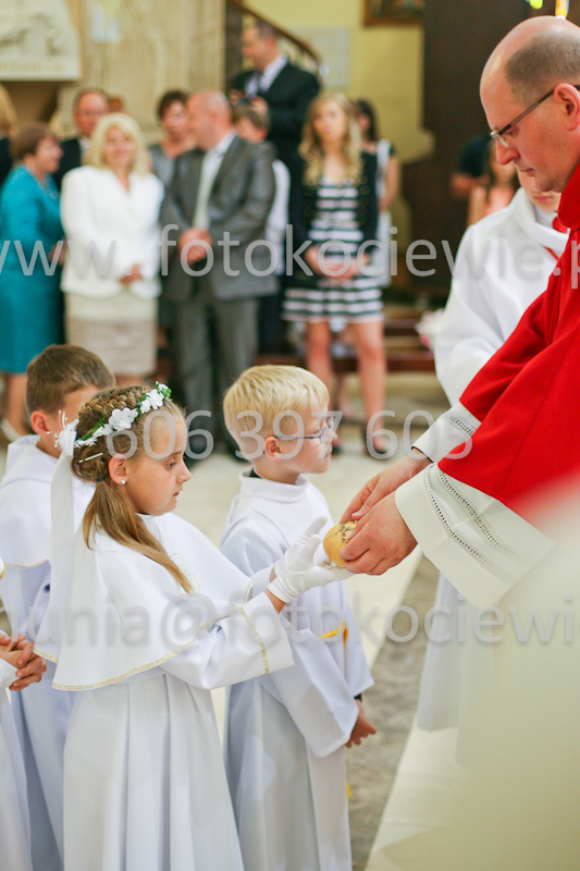 <b>NUMER FOTOGRAFII:<br> 1334_SFK_9922</b>