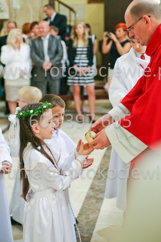 <b>NUMER FOTOGRAFII:<br> 1336_SFK_9924</b>