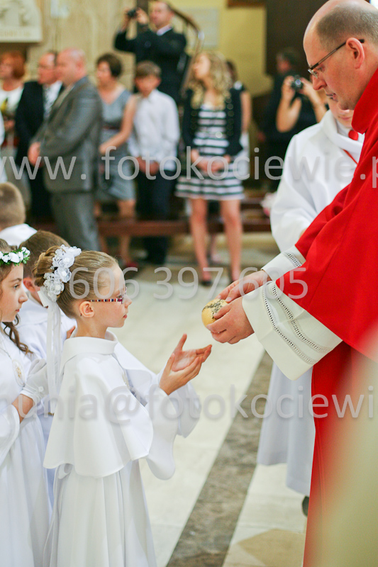<b>NUMER FOTOGRAFII:<br> 1340_SFK_9930</b>