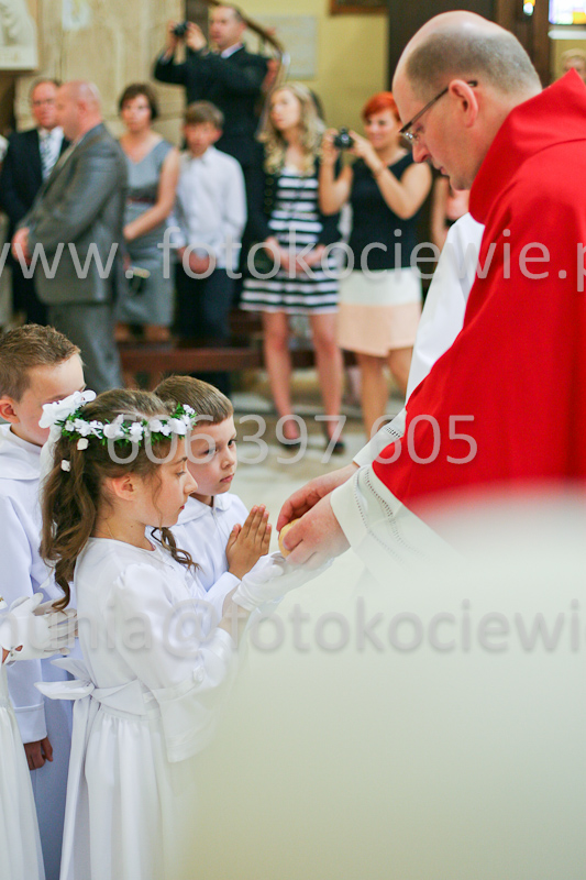 <b>NUMER FOTOGRAFII:<br> 1341_SFK_9931</b>