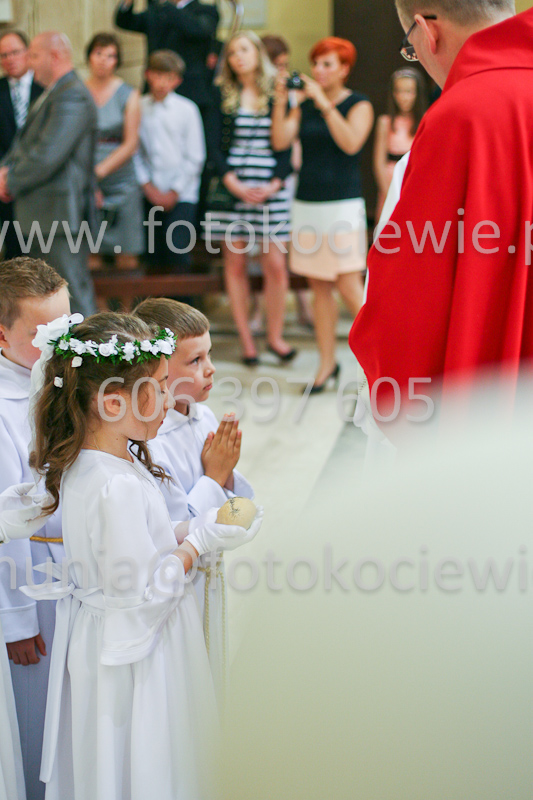 <b>NUMER FOTOGRAFII:<br> 1342_SFK_9932</b>