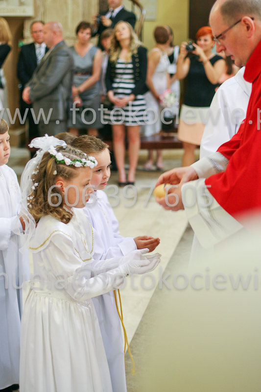<b>NUMER FOTOGRAFII:<br> 1343_SFK_9933</b>