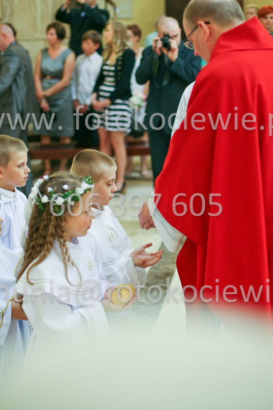 <b>NUMER FOTOGRAFII:<br> 1352_SFK_9942</b>