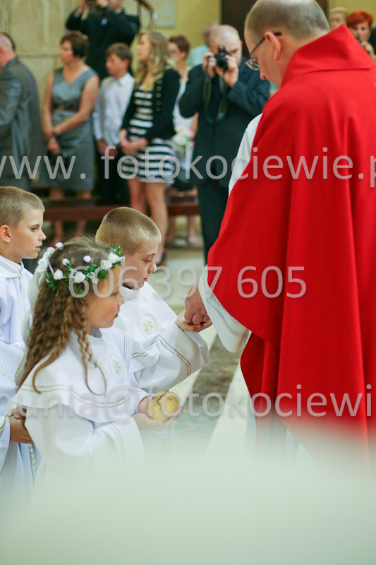 <b>NUMER FOTOGRAFII:<br> 1353_SFK_9943</b>