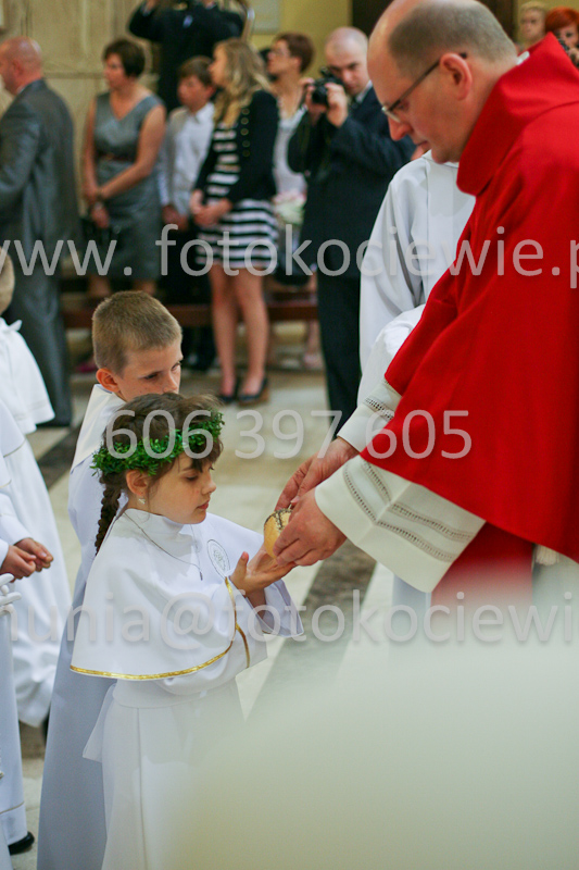 <b>NUMER FOTOGRAFII:<br> 1354_SFK_9944</b>