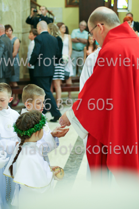 <b>NUMER FOTOGRAFII:<br> 1356_SFK_9946</b>
