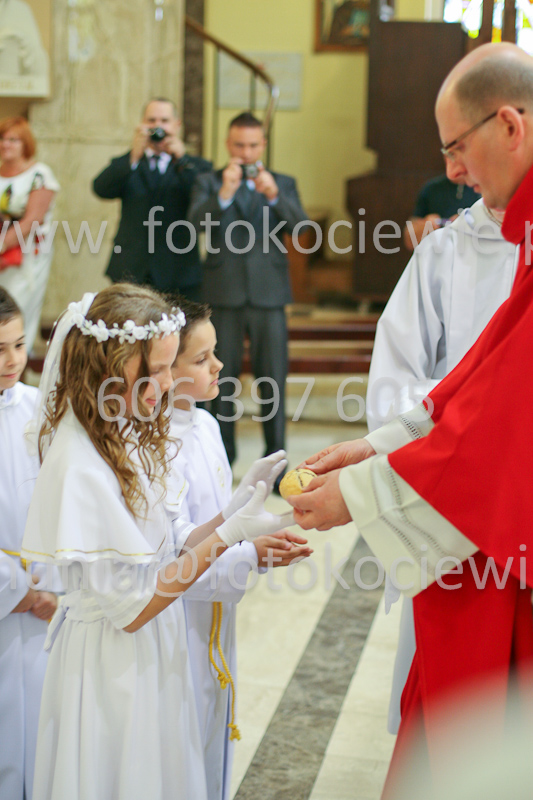 <b>NUMER FOTOGRAFII:<br> 1372_SFK_9964</b>