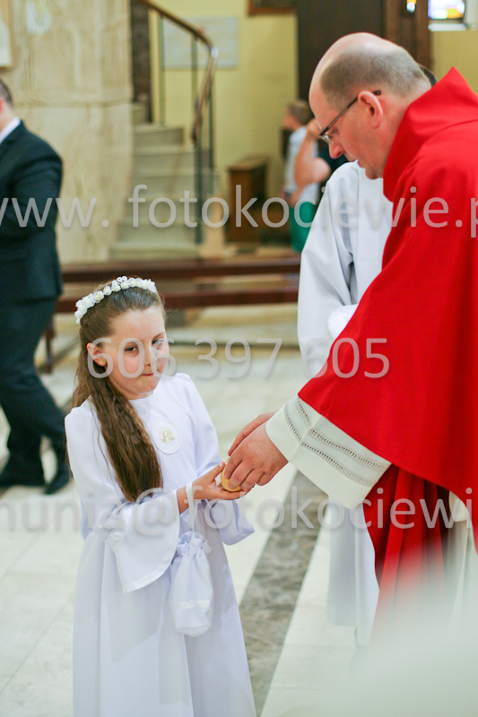 <b>NUMER FOTOGRAFII:<br> 1386_SFK_9978</b>
