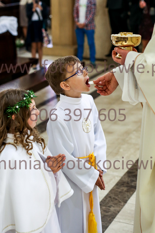 NUMER FOTOGRAFII: 646_IMG_7608