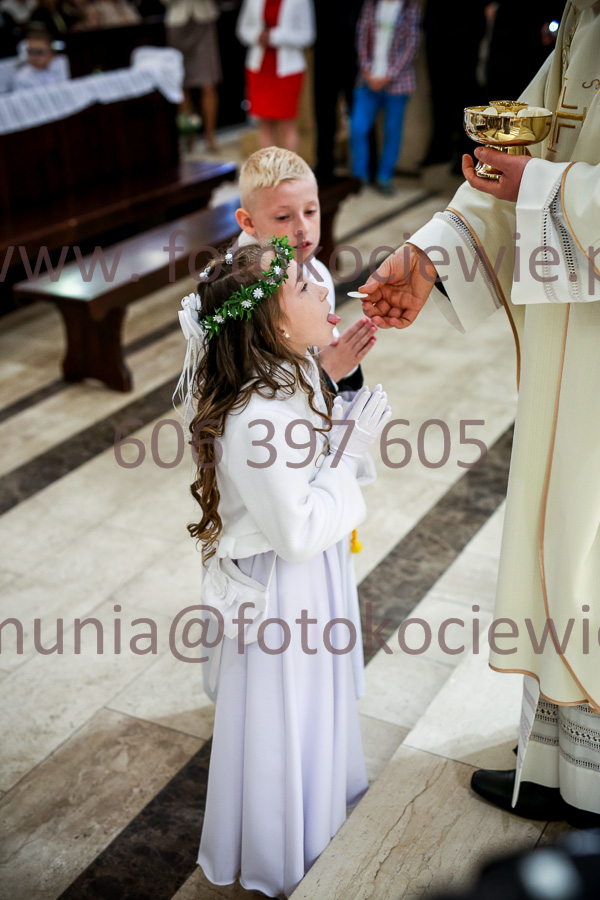 NUMER FOTOGRAFII: 690_IMG_7654