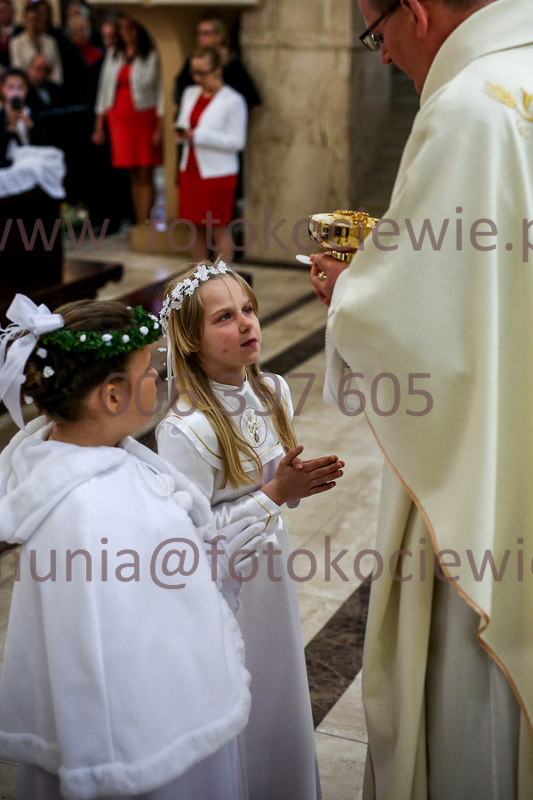 NUMER FOTOGRAFII: 800_IMG_7769