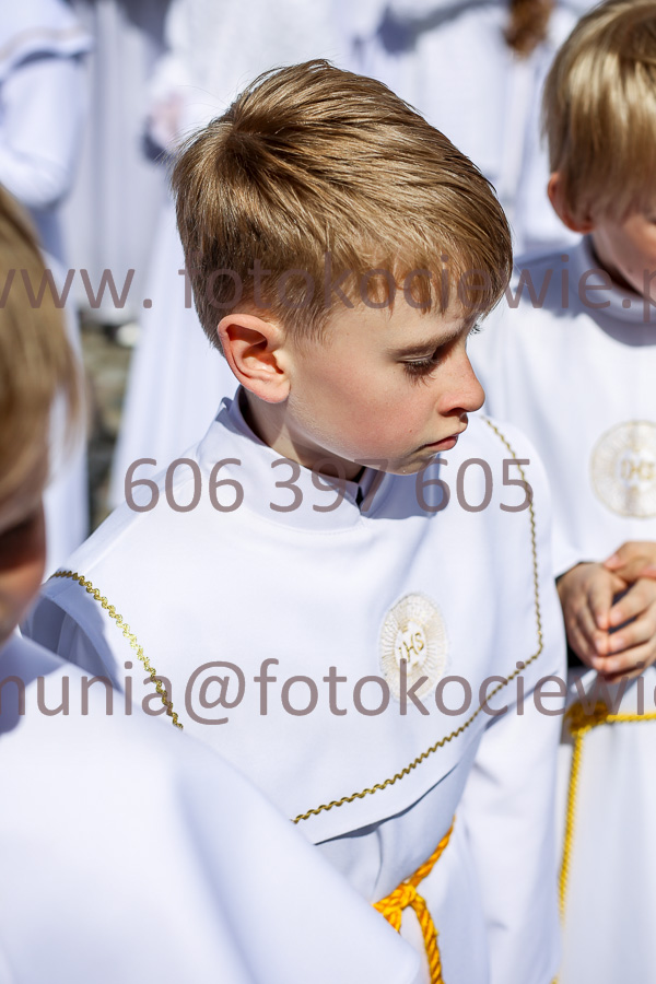 NUMER FOTOGRAFII: 1272_IMG_8176