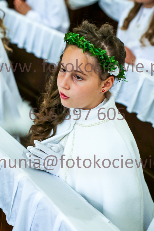 NUMER FOTOGRAFII: 1455_IMG_8261