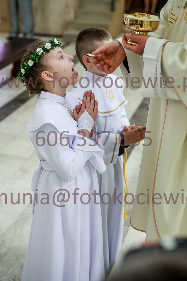 NUMER FOTOGRAFII: 1855_IMG_8556